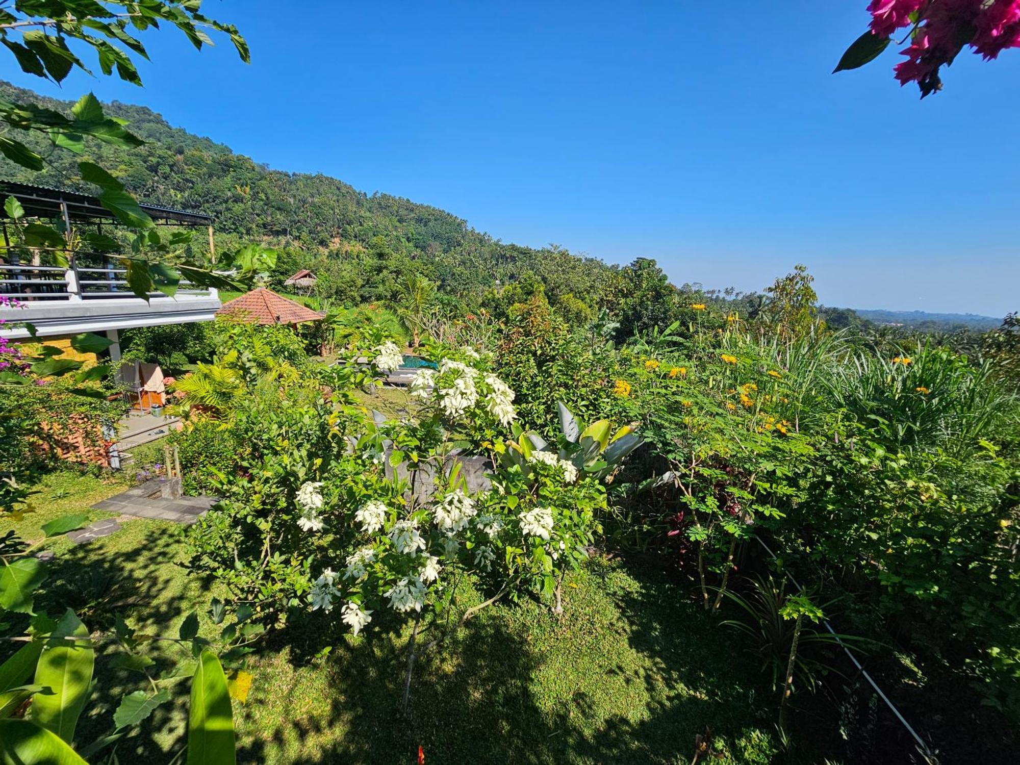 Villa Markisa Pakisan Sawan Экстерьер фото